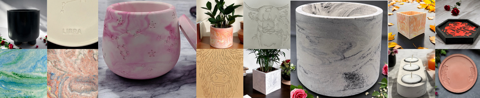 Quirky Owl Studio
