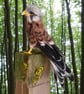 Needle felted male kestrel perked on stump - Image 5