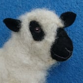 Sheep in Stiches