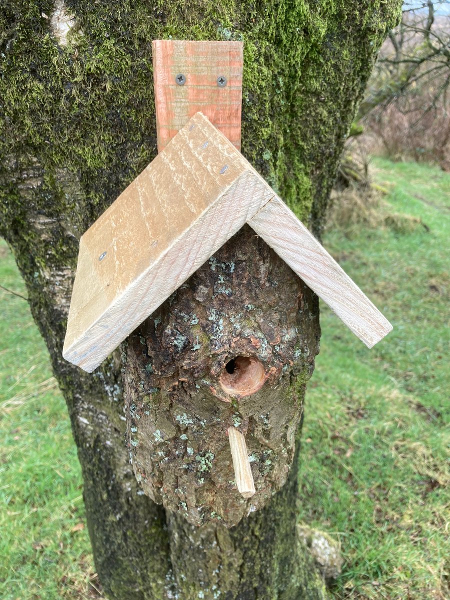 Hand crafted real tree log bird nesting box