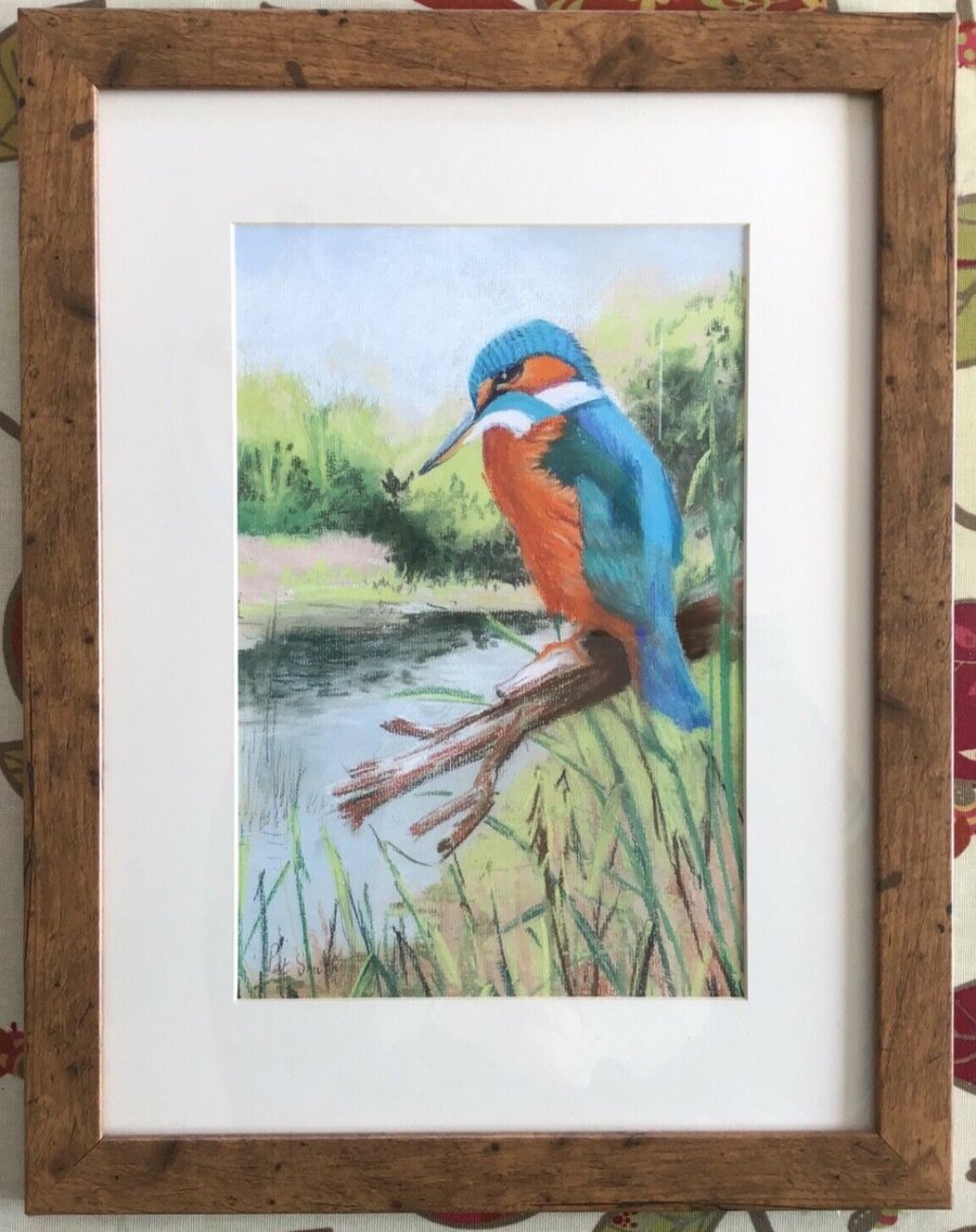 Original Pastel, Painting, Wild Life Painting, Kingfisher, by Pat Smith