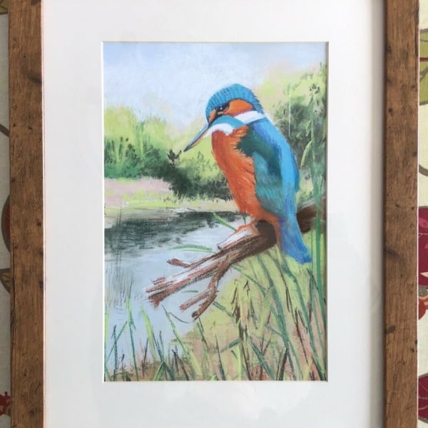 Original Pastel, Painting, Wild Life Painting, Kingfisher, by Pat Smith