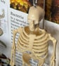 Biology Book Nook - Image 4