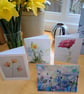 Notecards set, 4 original designs inspired by nature