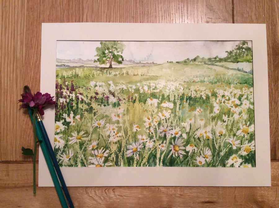 Watercolour painting of field of daisies original artwork