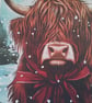 Christmas card. Highland cattle. Highland cow. Ref 493