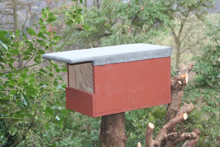 Kestrel Box