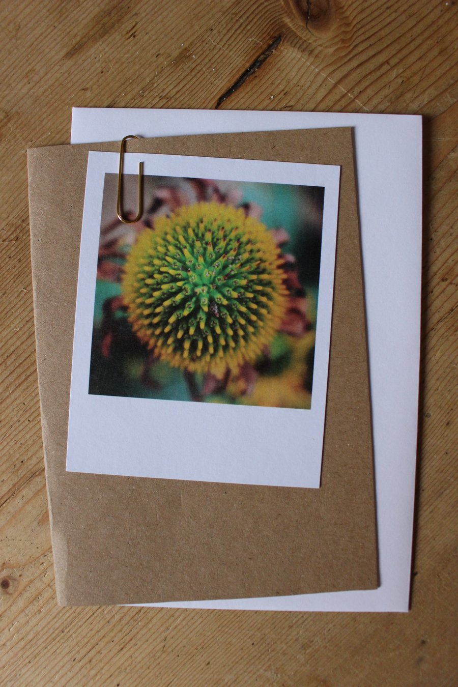 “Polaroid” style photo card: flowers