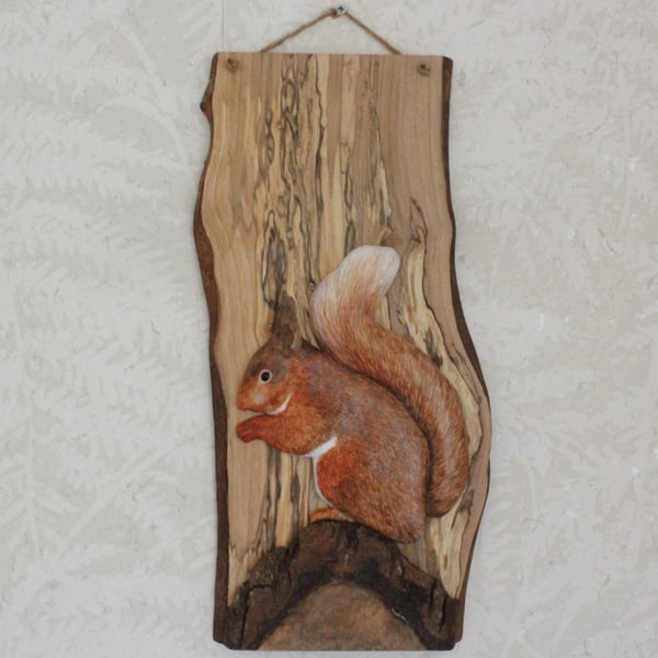 Red squirrel panel