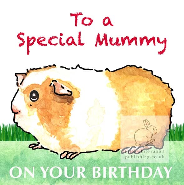 Samantha the Guinea Pig - Special Mummy Birthday Card