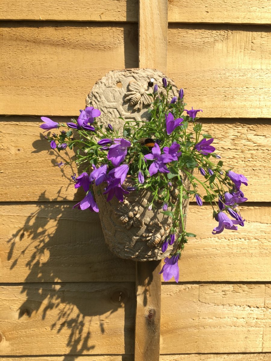 Half Pot Wall-mounted Plant Pot