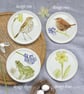 Garden Wildlife Coasters - Image 5