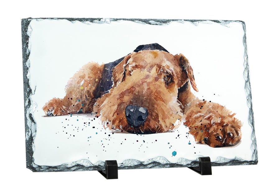 Airedale Terrier Reclined Natural rock slate - Airedale Terrier Rock photo slate