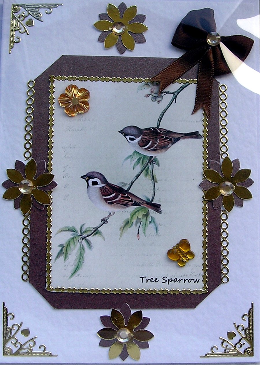 Sparrow Bird - Hand Crafted Decoupage Card - Blank for any Occasion (2555)