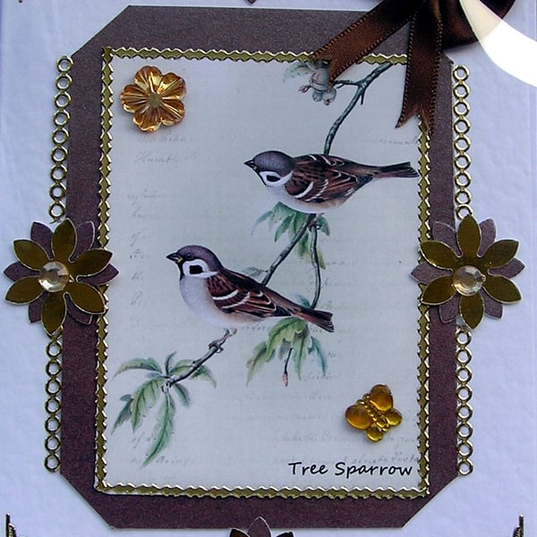 Sparrow Bird - Hand Crafted Decoupage Card - Blank for any Occasion (2555)