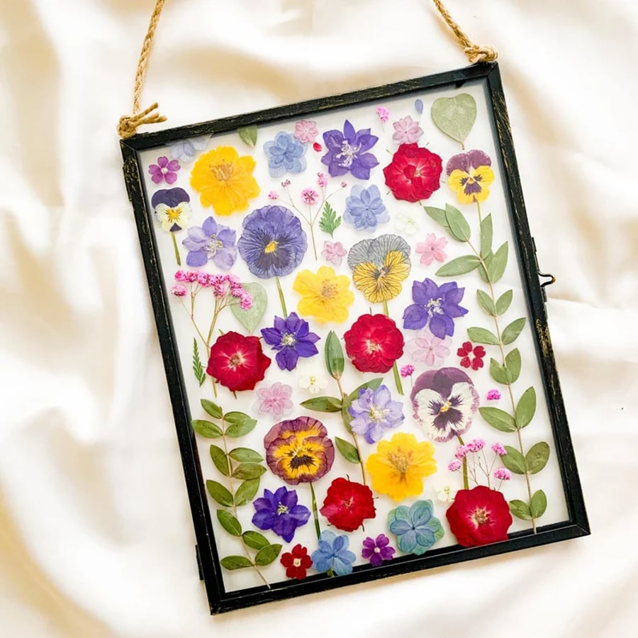 Real Pressed Flower Art Floating Frame Botanical Art Hanging Frame