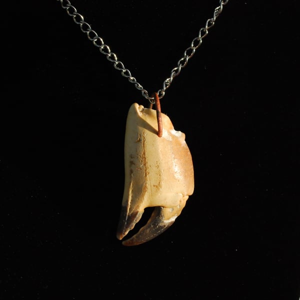 Crab claw pendant