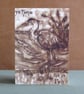 Blank Fine Art Card with Envelope
