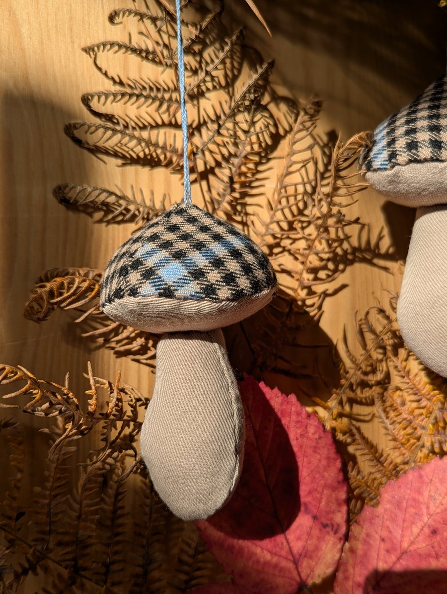 Plaid Hat Mushrooms