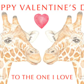 Giraffes Nose to Nose - Valentine Card