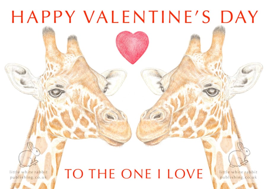 Giraffes Nose to Nose - Valentine Card