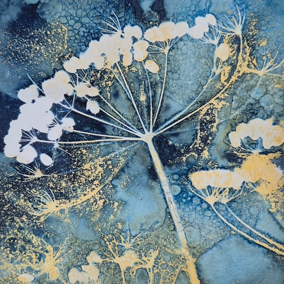 Umbellifer Seed Head Cyanotype Fine Art Print
