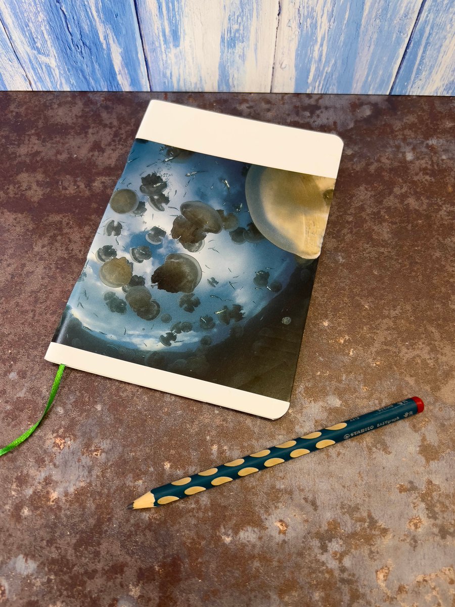 Notebook, Marine themed, A5 (ish), made from up-cycled and recycled materials.