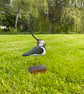 Lapwing (Peesie) - Image 9