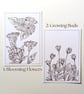 Original Unframed Sepia Ink Flower Painting A6 - Image 2