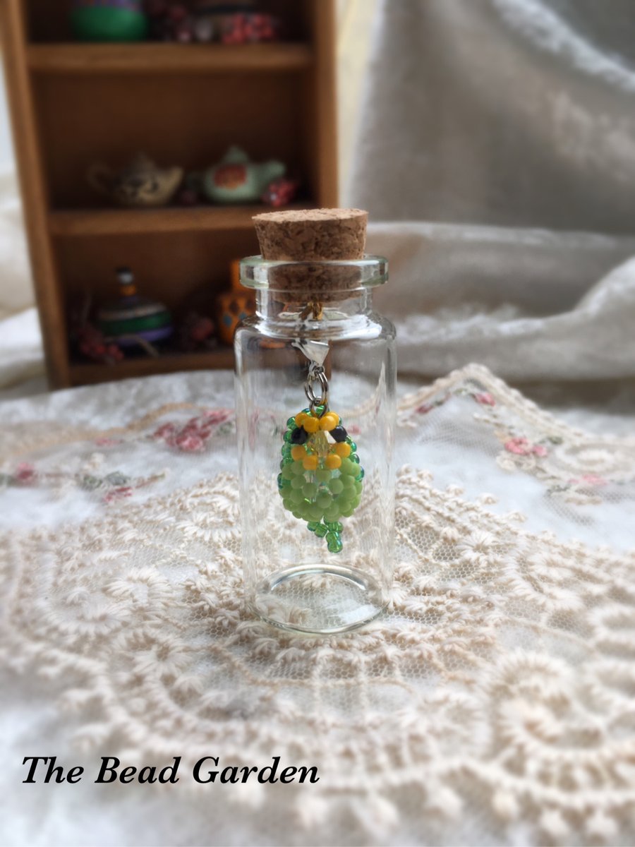 Little budgie in the bottle 
