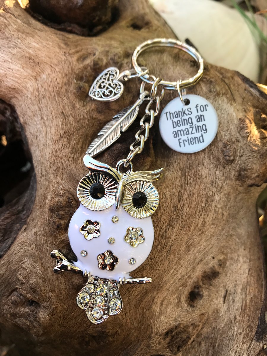 Olivia The Owl Thanks For Being An Amazing Friend Keyring Gift 
