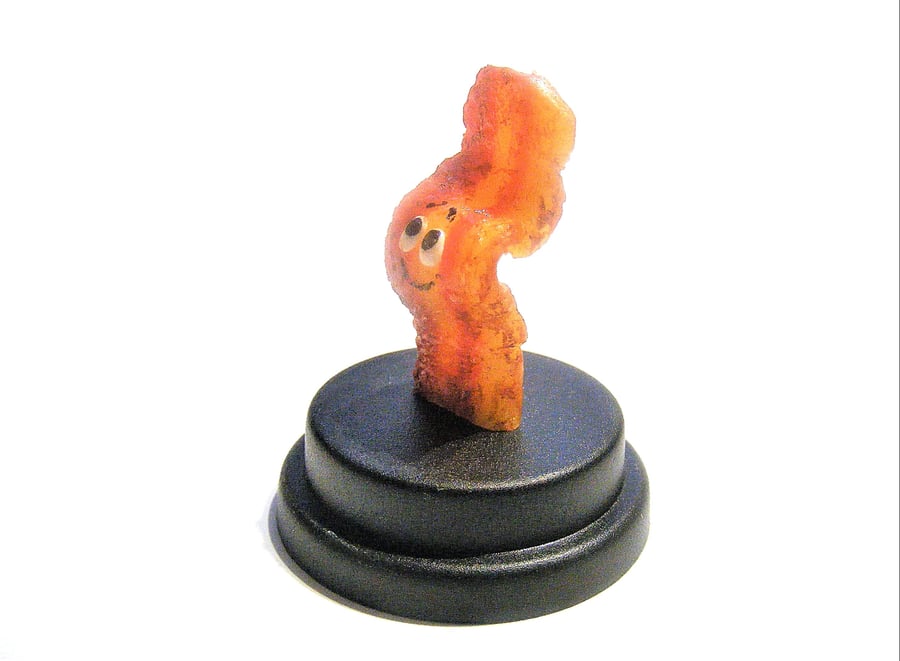 Pet Bacon, Bacon lover, Bacon gift,Carnivore gift, Gift for him, Gift for her