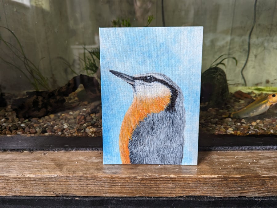 Nuthatch Bird Portrait Painting (with hanger)