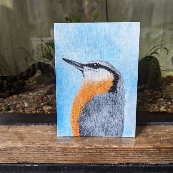 Nuthatch Bird Portrait Painting (with hanger)