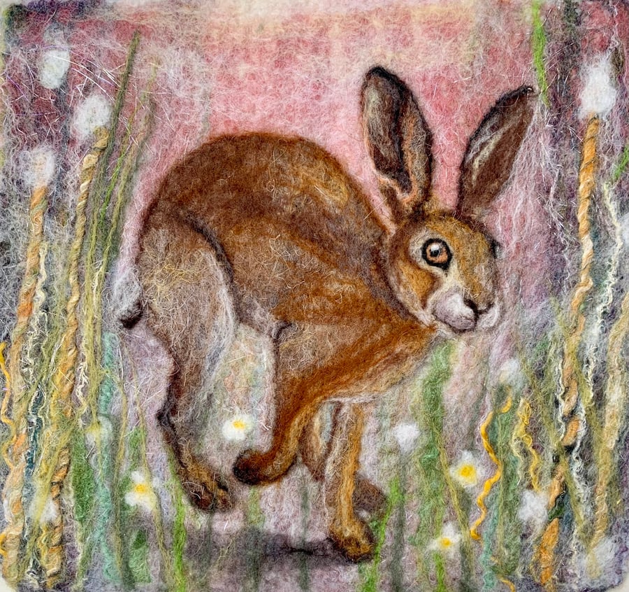 Little brown hare