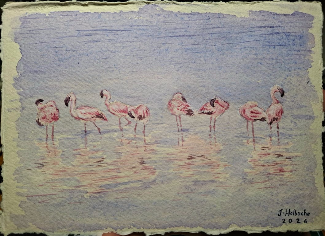 A Flamboyance of Flamingos Original Watercolour Painting