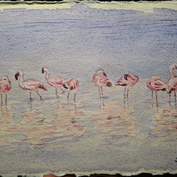 A Flamboyance of Flamingos Original Watercolour Painting