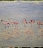A Flamboyance of Flamingos Original Watercolour Painting