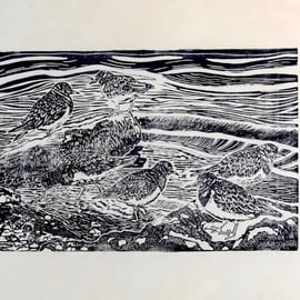 Seconds Sale Turnstones Lino Print Black