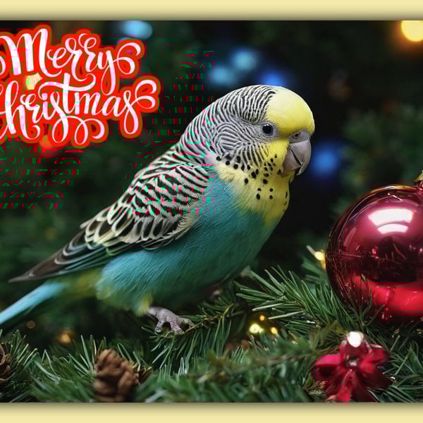 A5 Christmas Greeting Card Budgie With Bauble  