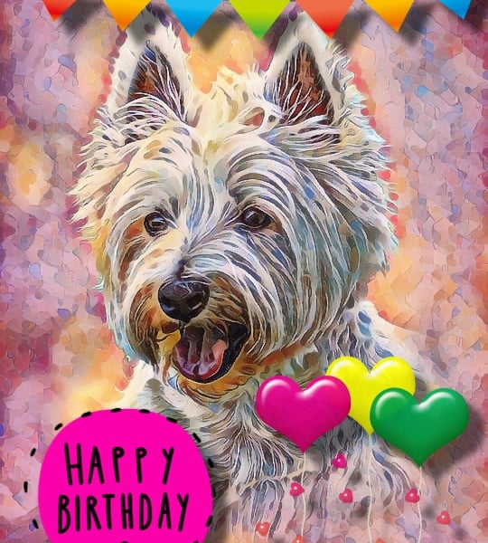 Happy Birthday West Highland Terrier Dog Card 