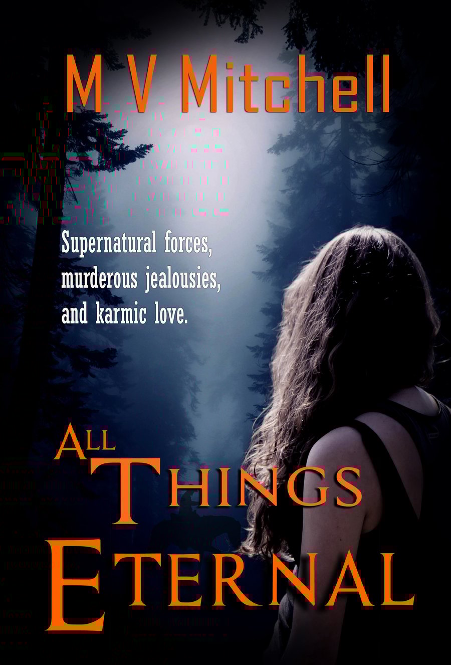 Romance Time Travel Novel signed by author  Book Lovers Gifts, Holiday Read