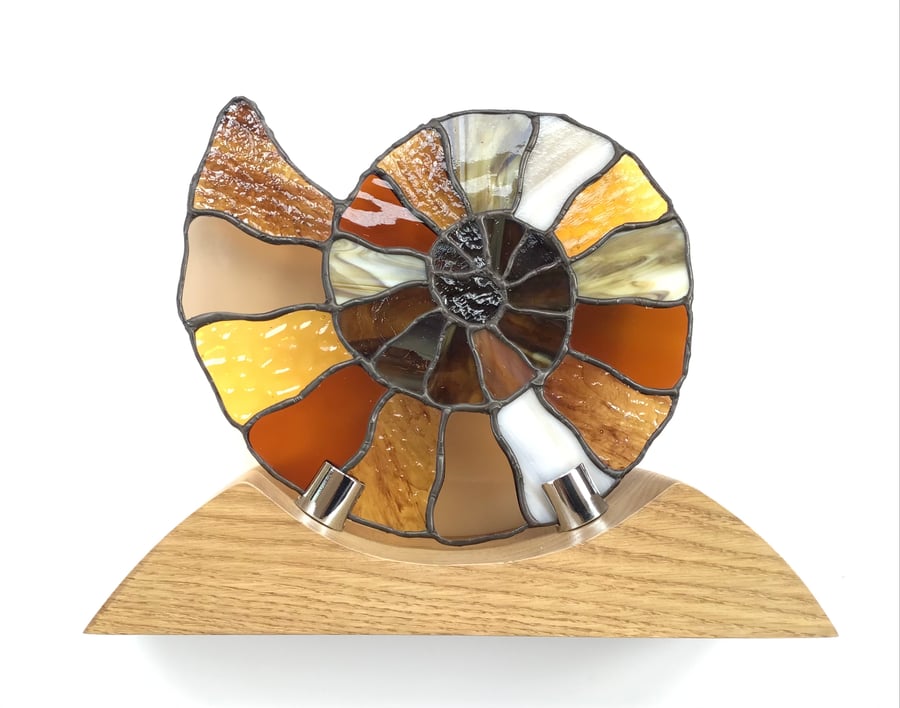 Ammonite. Stained Glass