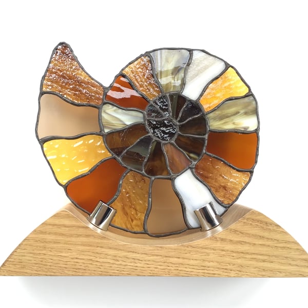 Ammonite. Stained Glass