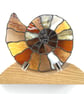 Ammonite. Stained Glass - Image 1