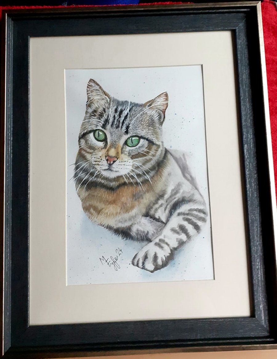 tabby cat original watercolour painting 