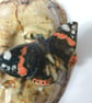 Ceramic Wall Pot  - Image 3