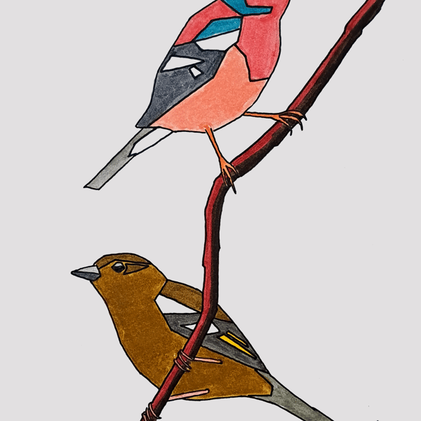 Pair of Chaffinches A5 Art Print