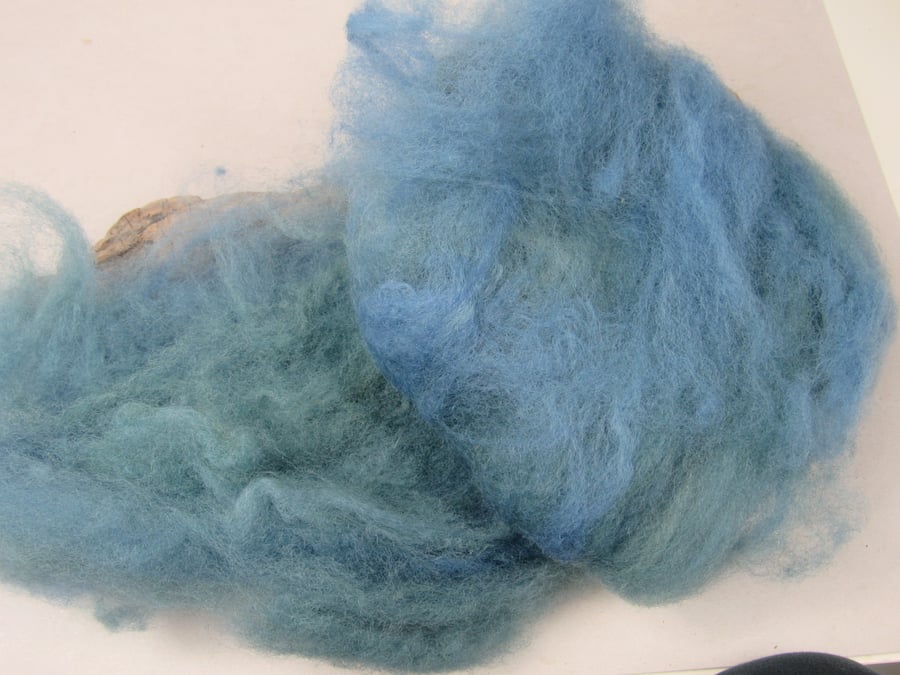 10g Naturally Dyed Indigo Weld Blend Llanwenog Felting Wool