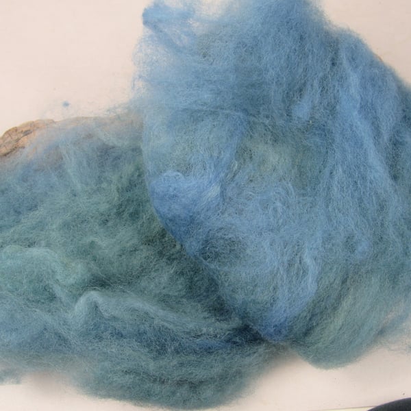 10g Naturally Dyed Indigo Weld Blend Llanwenog Felting Wool